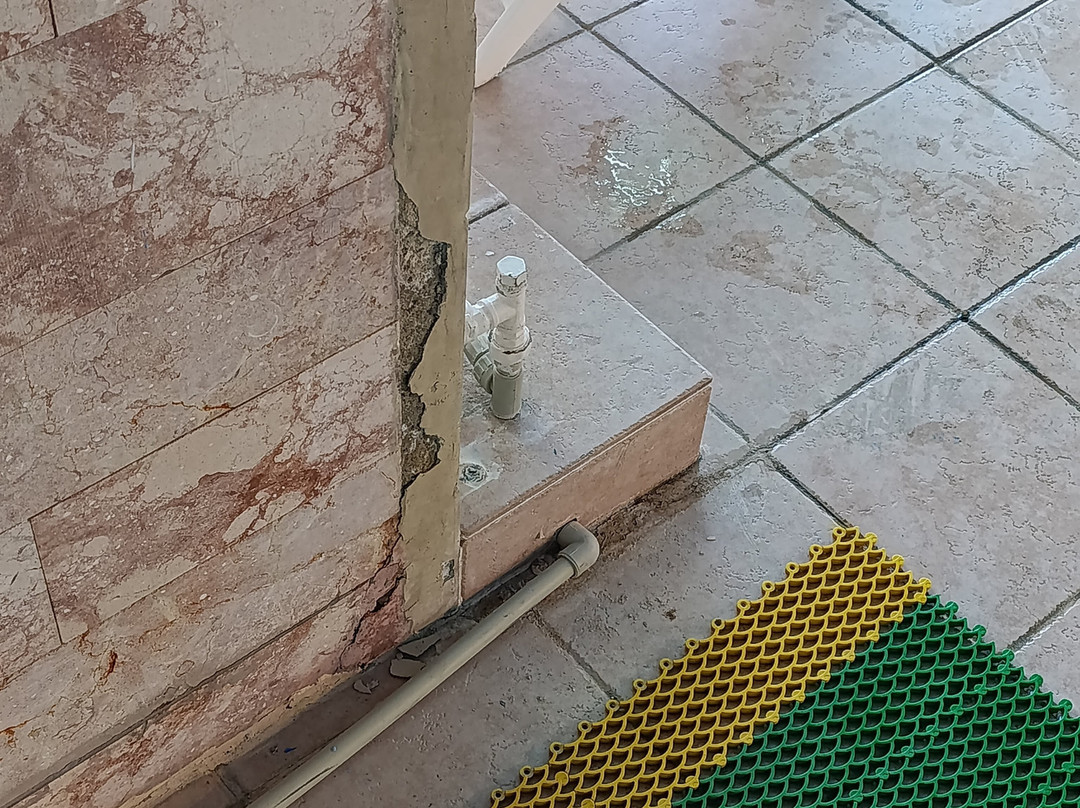 Tropicana Park主图