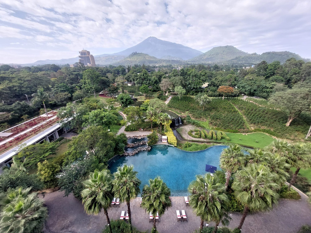 Somewhere in Africa-阿鲁沙必去景点