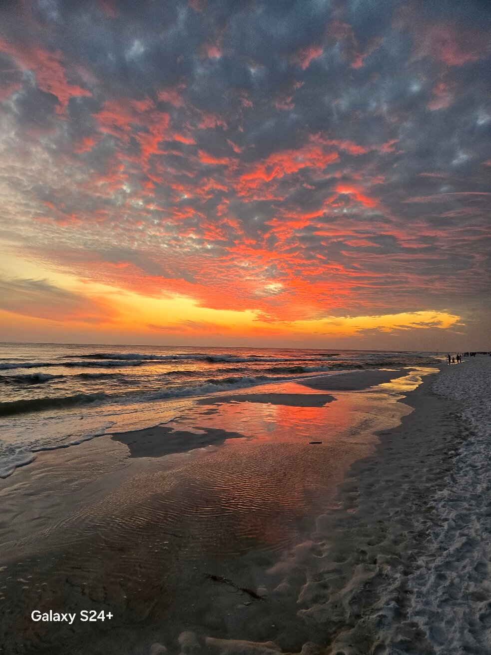 Wavecrest Lodge-官方