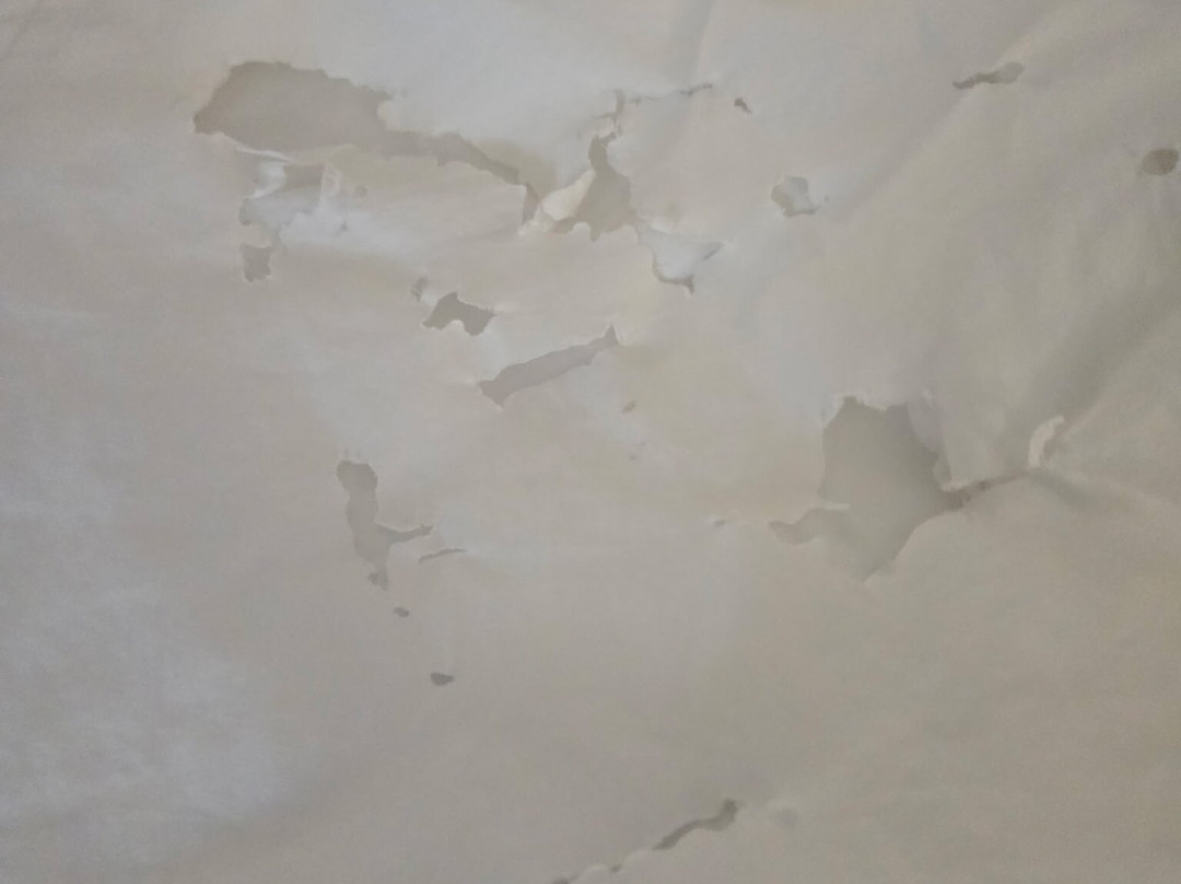 Comfort Suites Forsyth Near I-75主图