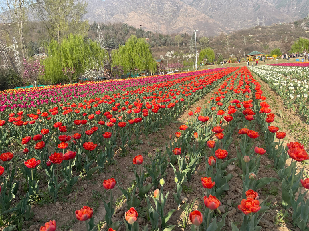 Paradise Tours And Adventure景点图片