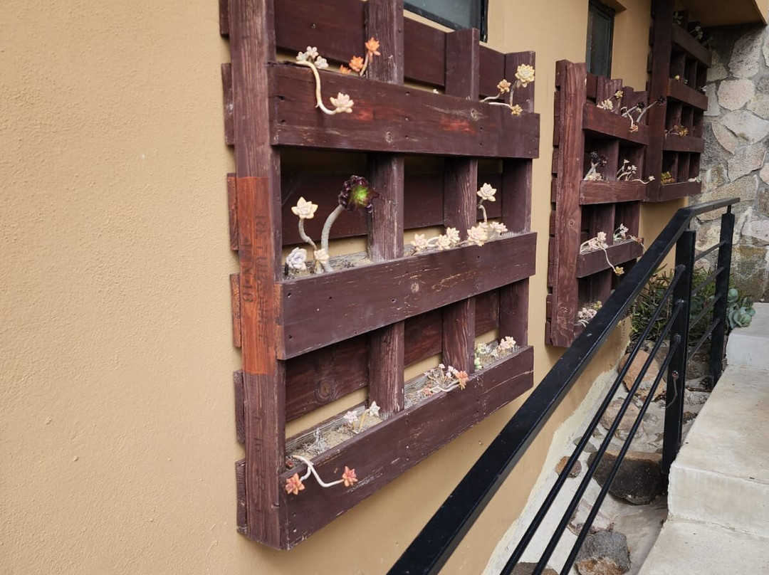 Contemplacion Hotel Resort & Spa主图