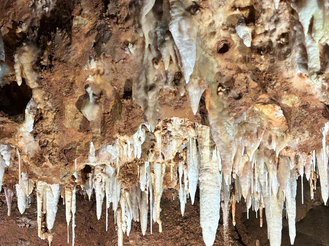Grotte de Saint-Cézaire-Saint-Cezaire-sur-Siagne必去景点
