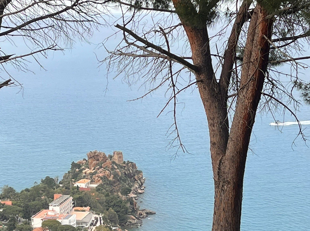 Alba Tra I Pini B&B主图