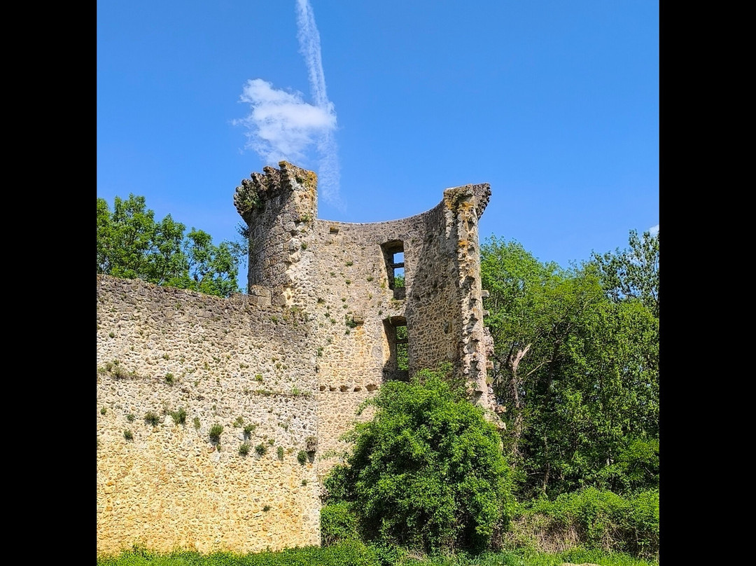Chateau de la Madeleine景点图片