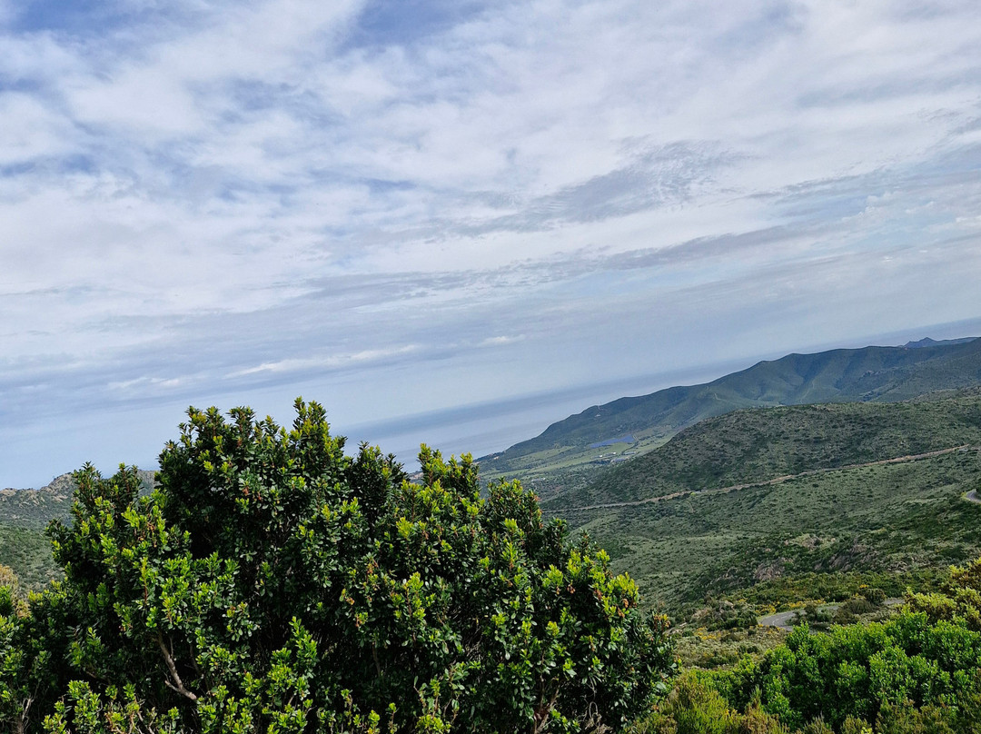 Corse Loisirs - Day Tours景点图片