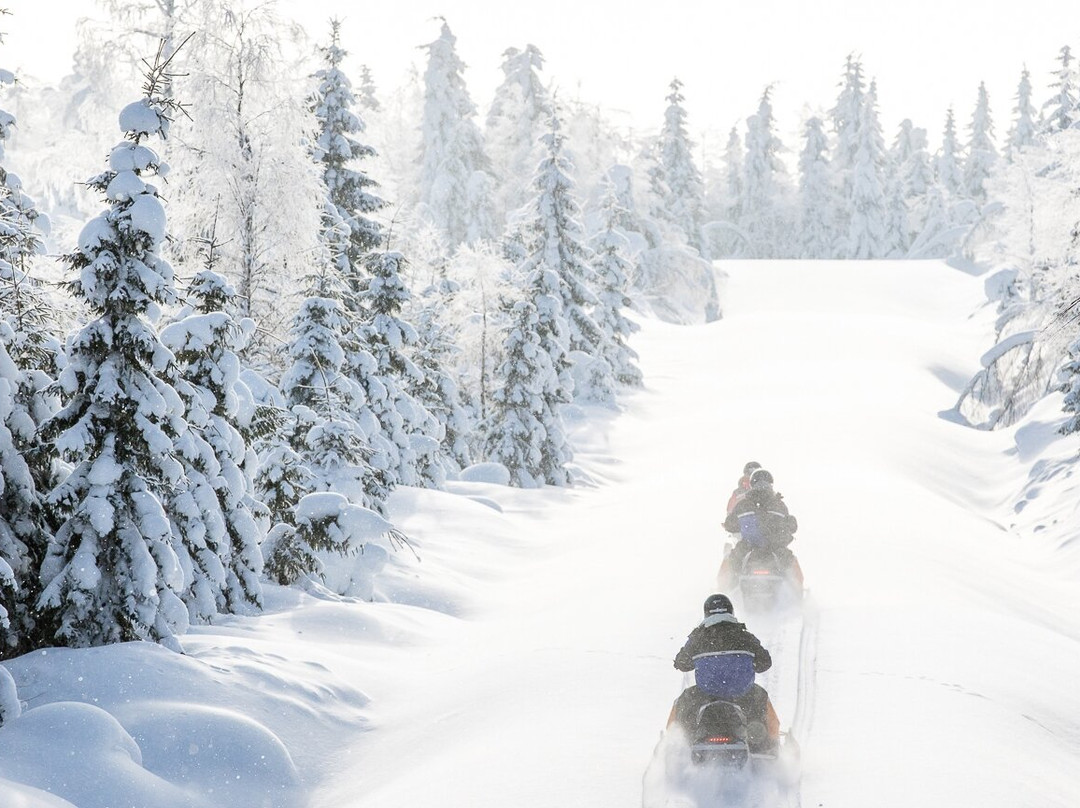 Vuokatti Safaris