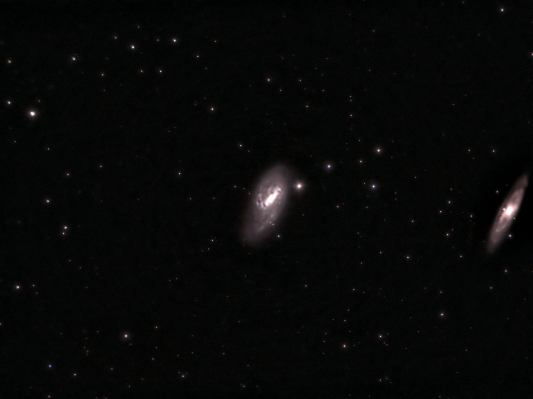 Dark Skies Astronomy Tours-哈里肯必去景点