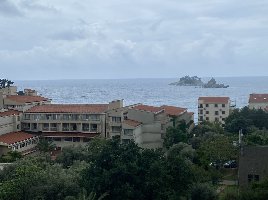 Hotel Ami Budva Petrovac主图