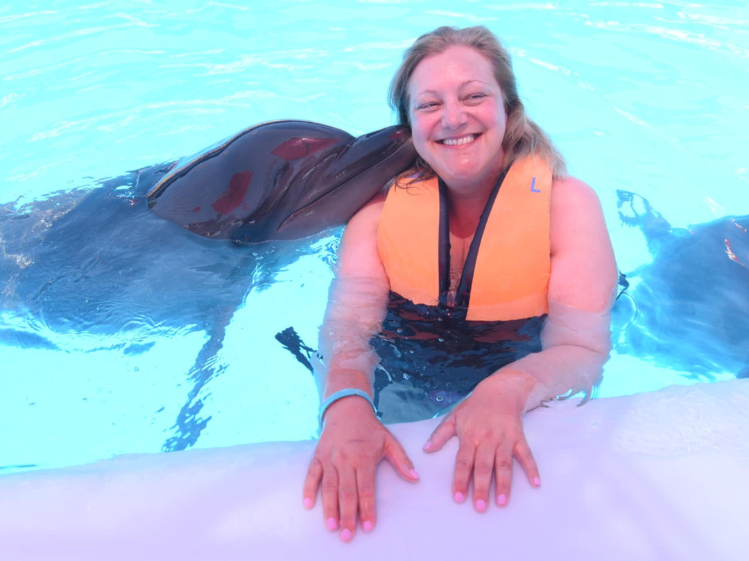 Dolphina Park-沙姆沙伊赫必去景点