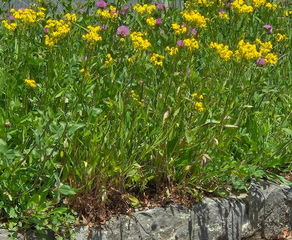 The Tunnel To Nowhere-布赖森城必去景点