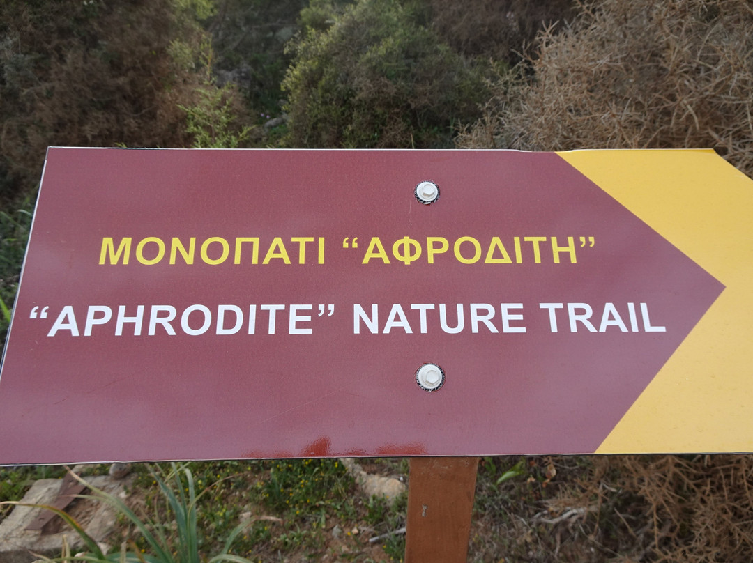 Aphrodite Trail-Latchi必去景点
