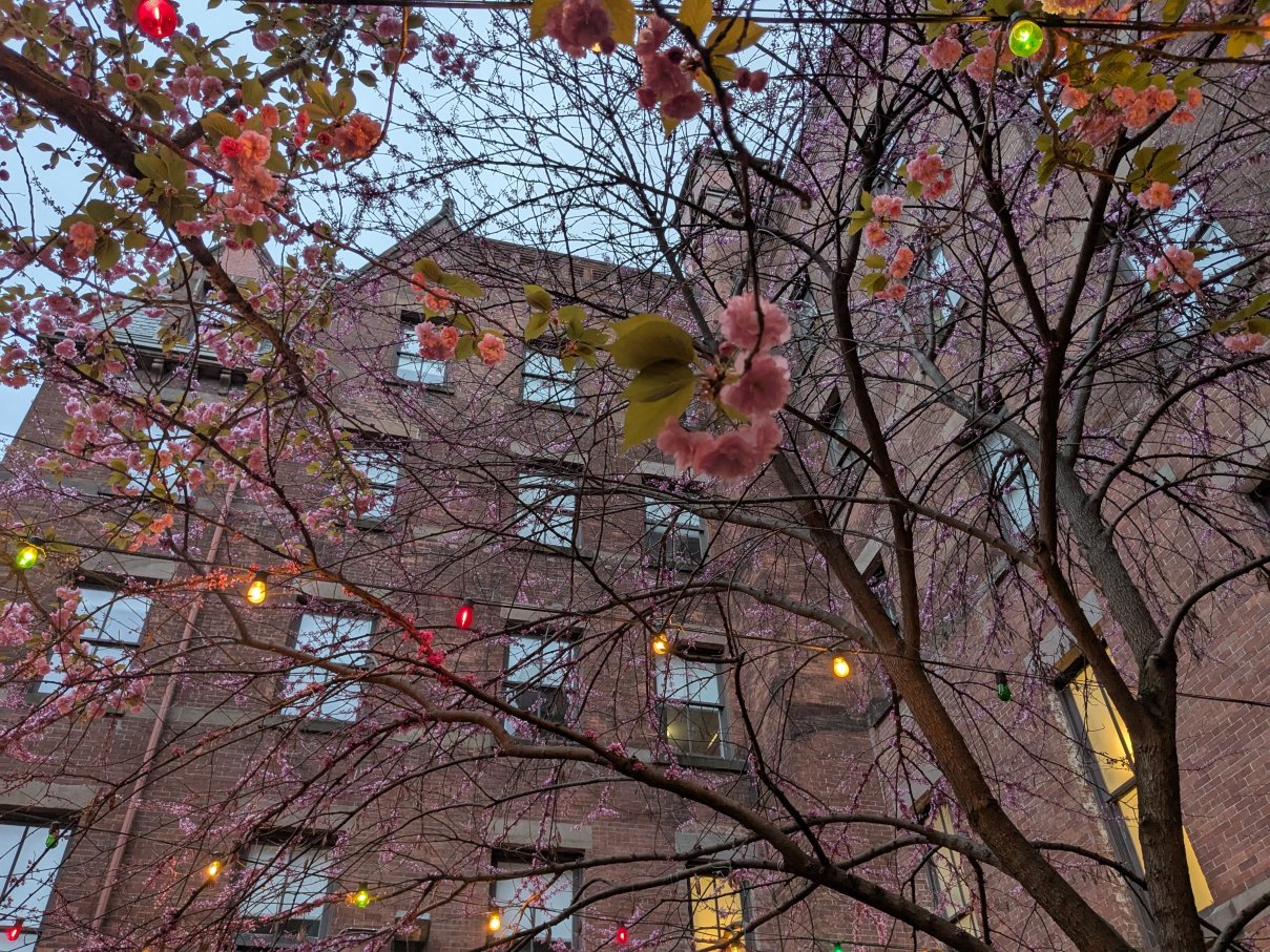 你好纽约旅舍-浴室