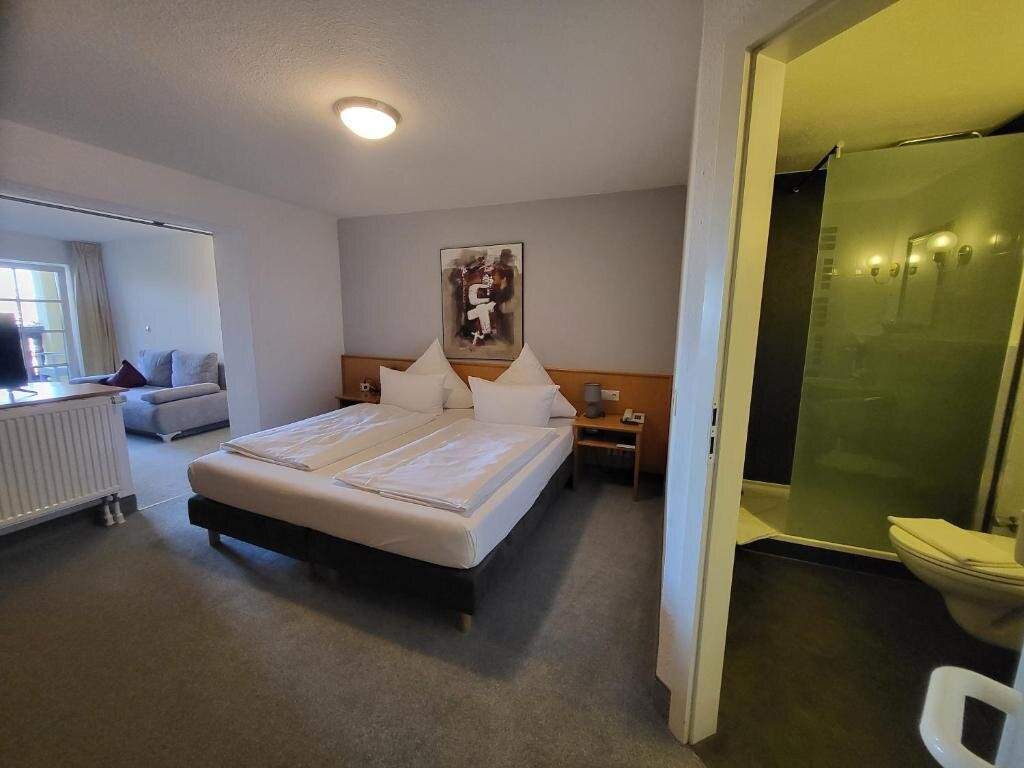 Hotel Sonne Erzgebirge主图