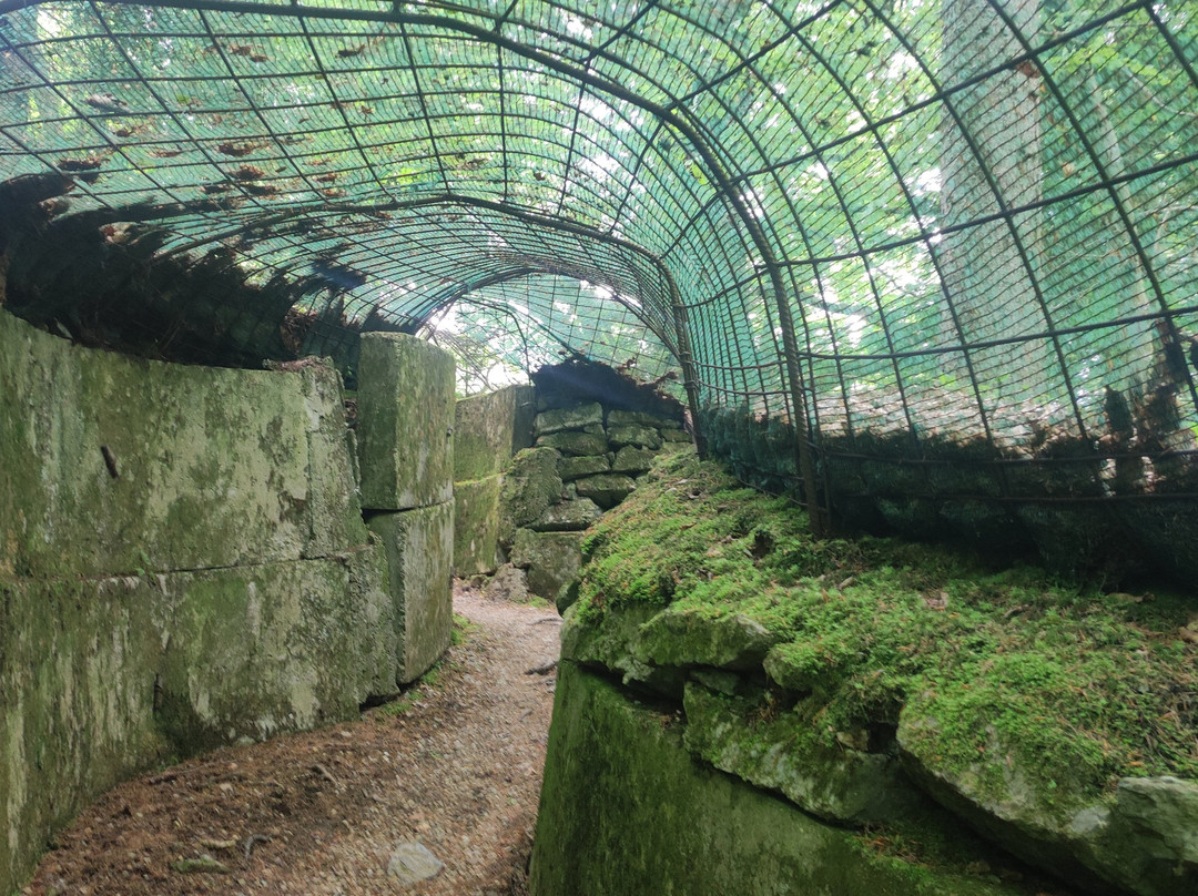 Bunkermuseum-Arnoldstein必去景点