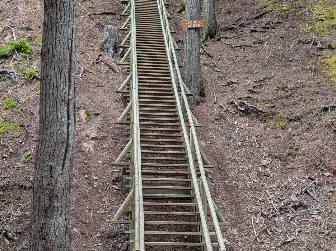 Victoria Park-Truro必去景点