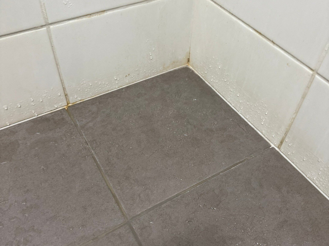 Gilgandra Motel主图