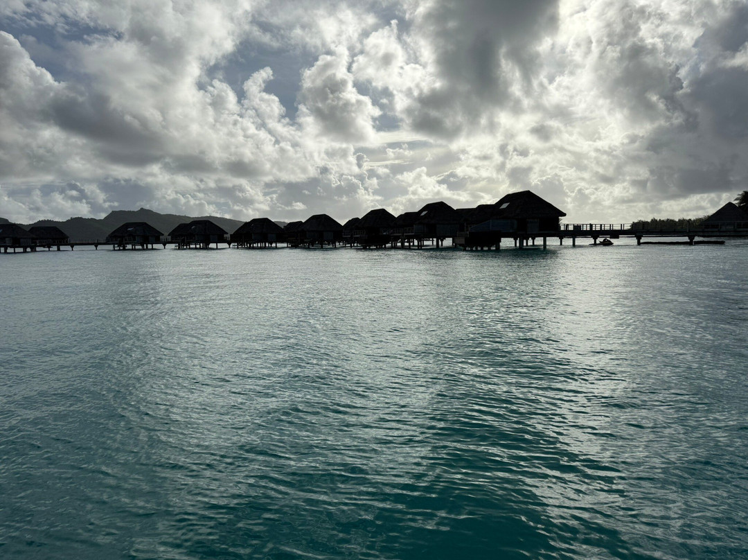 Tahia Exquisite Tahitian Pearls -Bora Bora-波拉波拉岛必去景点
