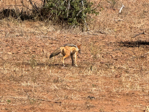 Passionate Tours and Travel-李文斯顿必去景点