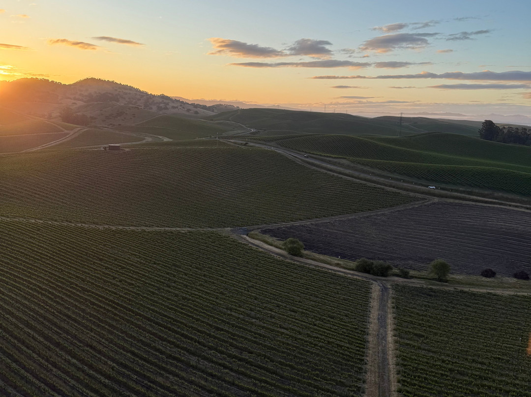 Sonoma Ballooning景点图片
