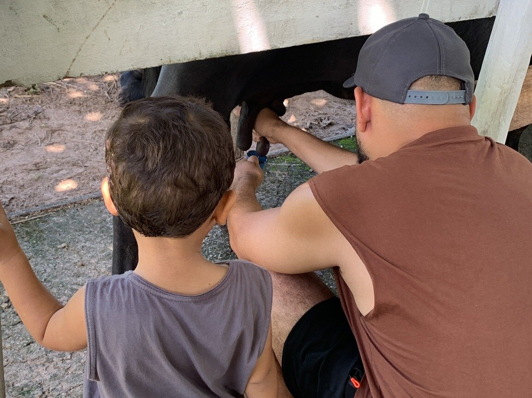 Fazenda Mironga-Soure必去景点