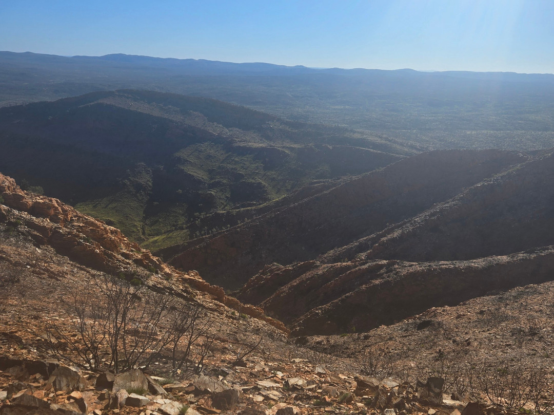 Larapinta Trail Trek Support-爱丽斯泉必去景点