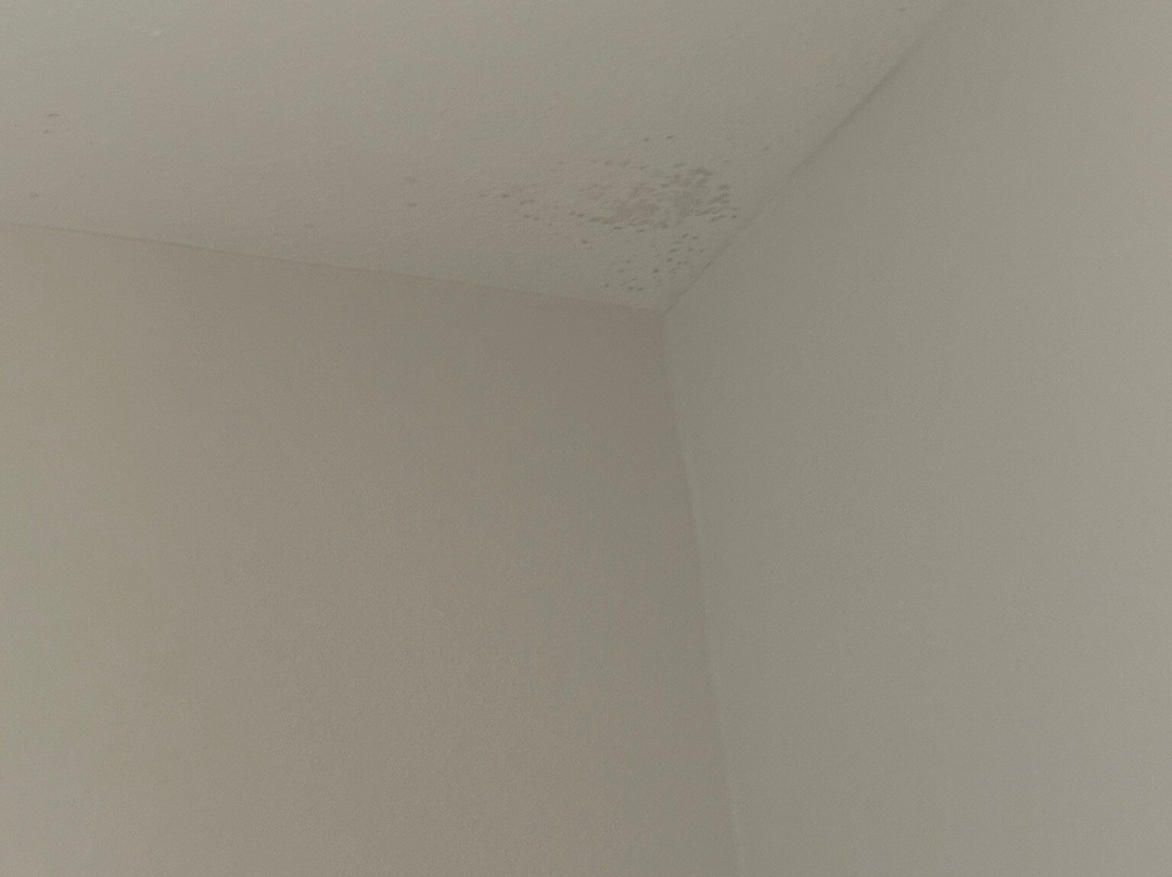 Holiday Inn Express & Suites Biloxi- Ocean Springs By IHG主图