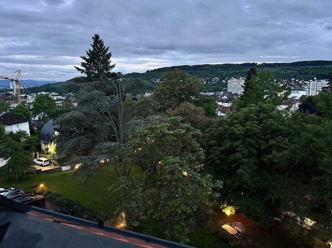 Hotel Villa Elben主图