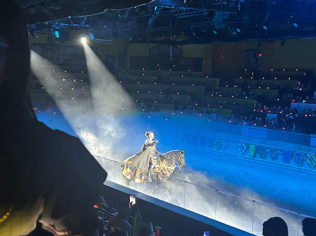 Medieval Times Dinner & Tournament景点图片