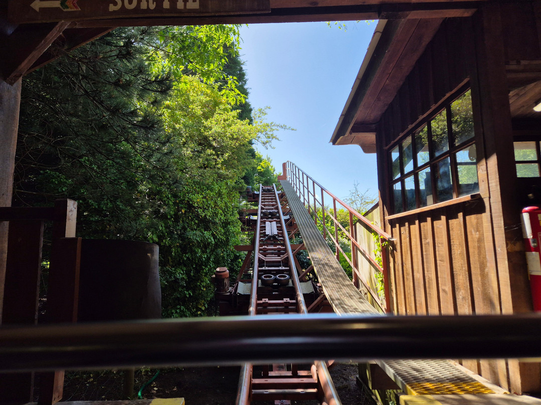 Parc Bagatelle景点图片