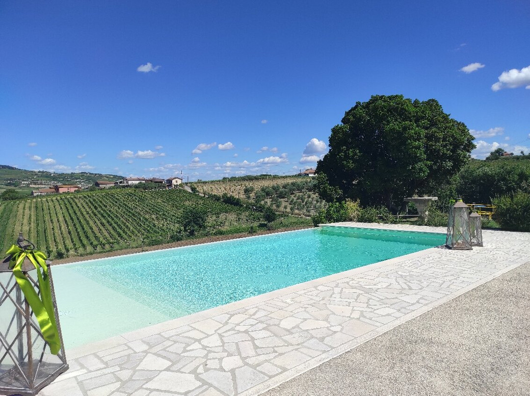 Azienda Agricola Torre A Oriente景点图片