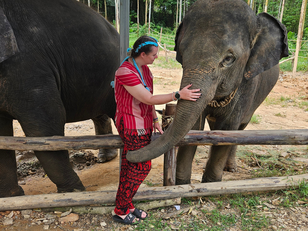 Kerchor Elephant Family Phuket-卡图必去景点