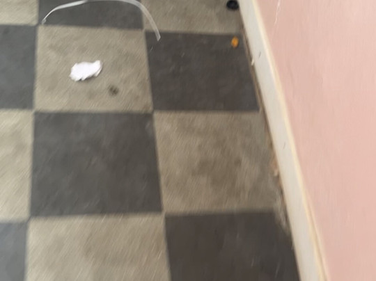 Sylvabelle Hotel主图