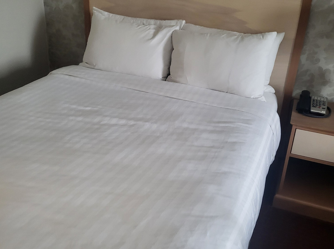 Appomattox Inn & Suites主图