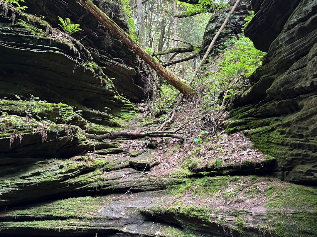 Witches Gulch-威斯康星峡谷必去景点