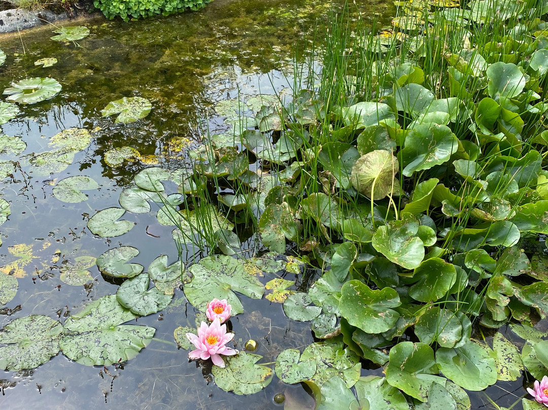 Jardin Botanique Jean-Marie Pelt景点图片