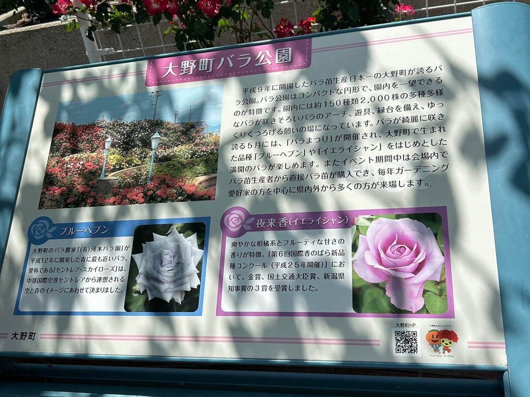 Onocho Rose Park-小野町必去景点