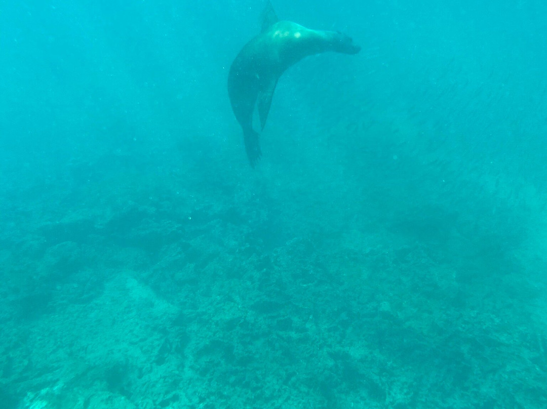 Yacht Anahi-阿约拉港必去景点