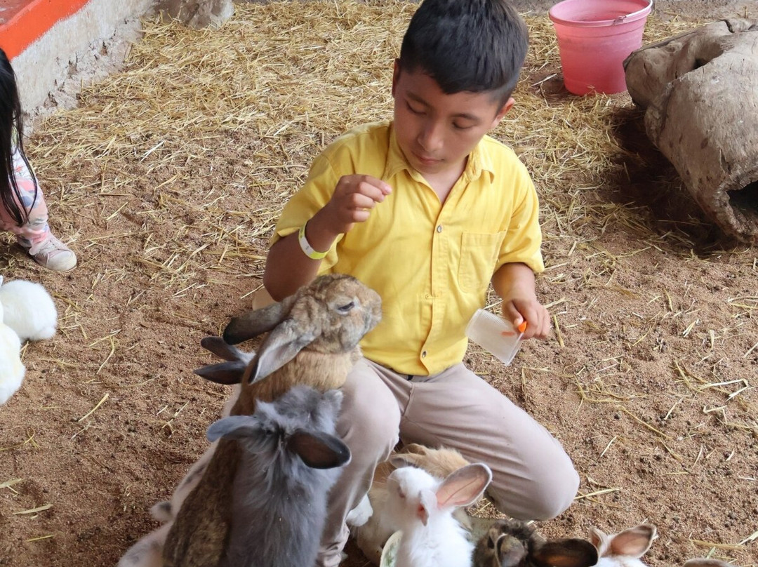Granja Animalia-Xicotepec de Juarez必去景点