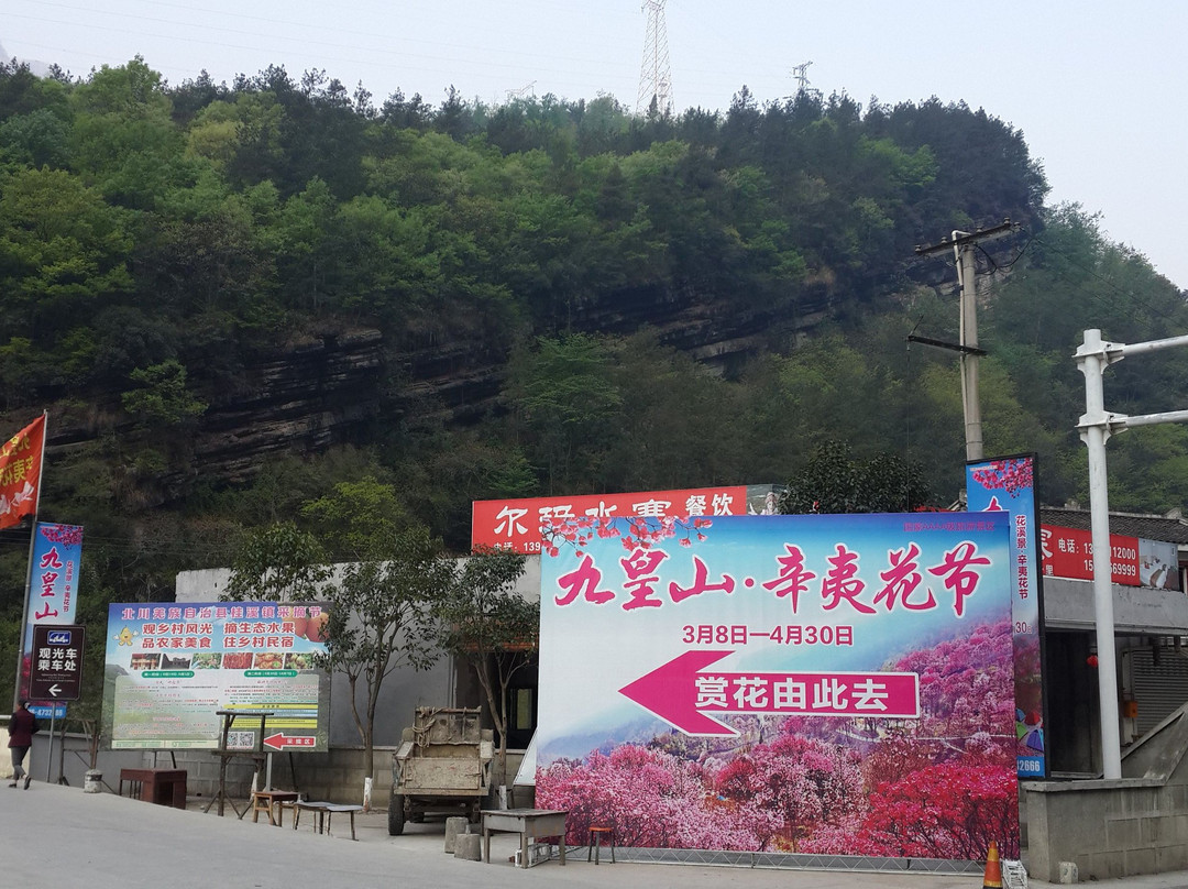 九黄山猿王洞景点图片