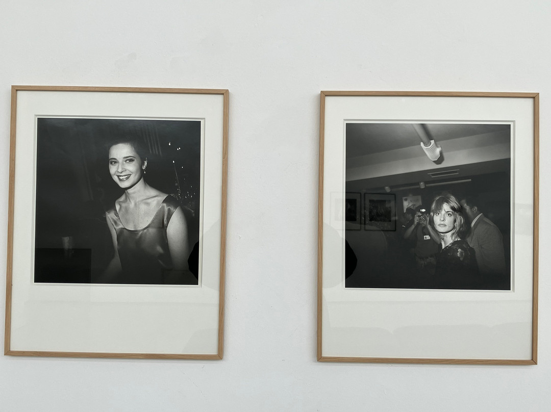 MEF Museo Ettore Fico景点图片