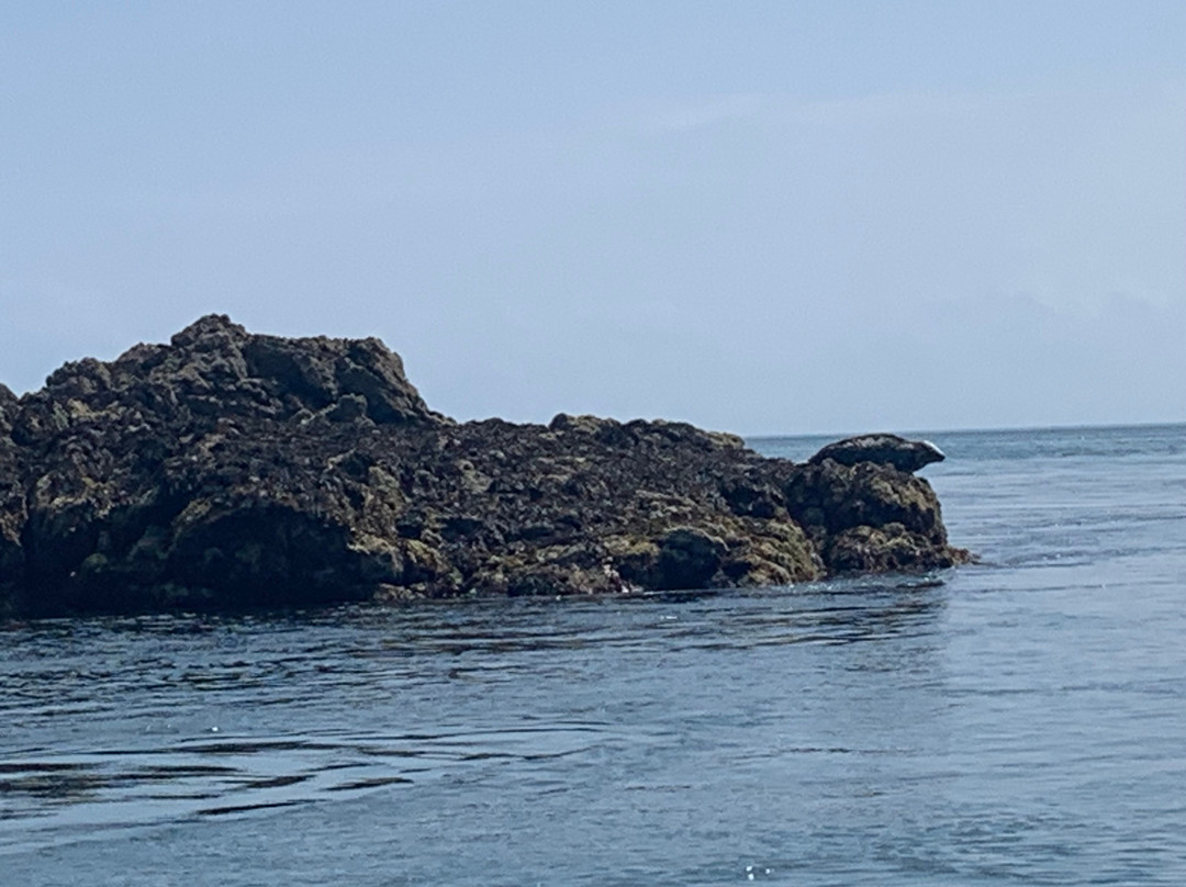 Island RIB Voyages-St Catherine's必去景点