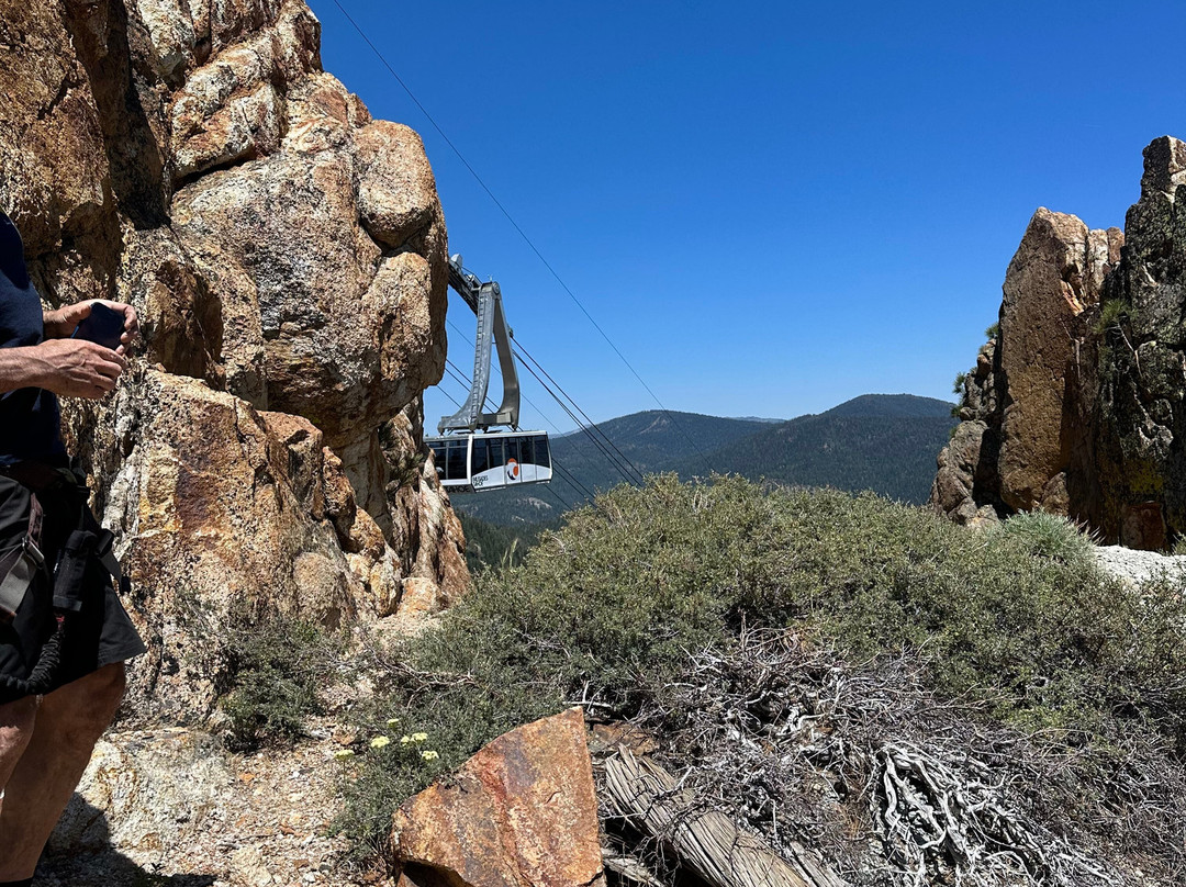 Alpenglow Expeditions-奥林匹克谷必去景点