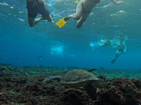 Supi Tour Nusa Penida-沙努尔必去景点