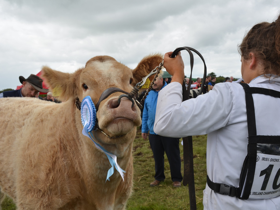 Swinford Agricultural Show