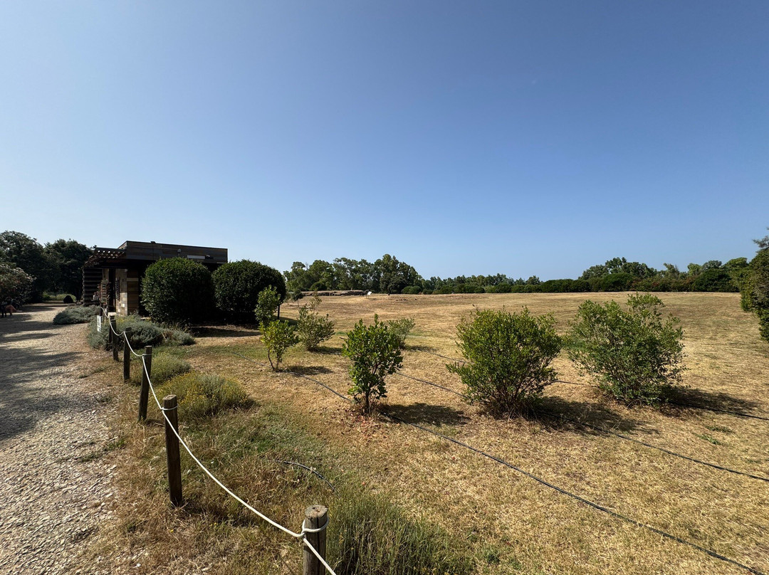 Necropolis of Anghelu Ruju-阿尔盖罗必去景点
