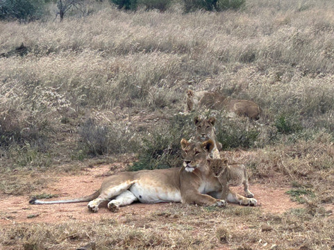 El Karama Lodge主图