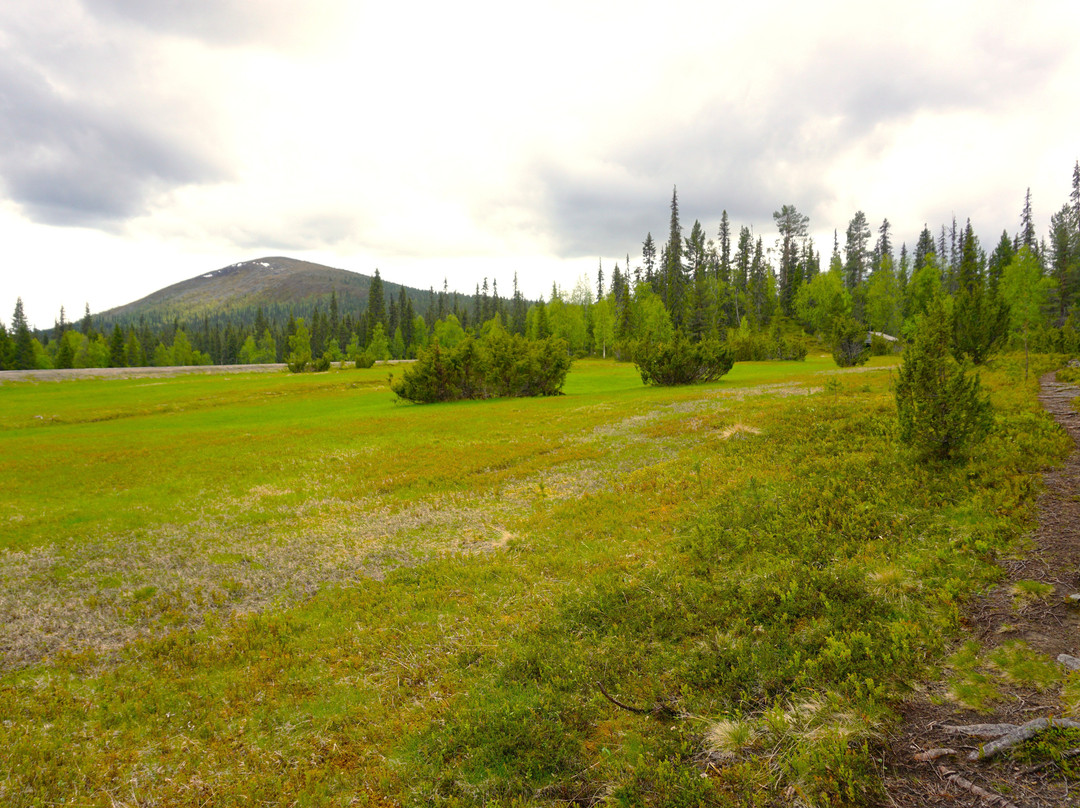 Pyhäjoen Luontopolku-Muonio必去景点