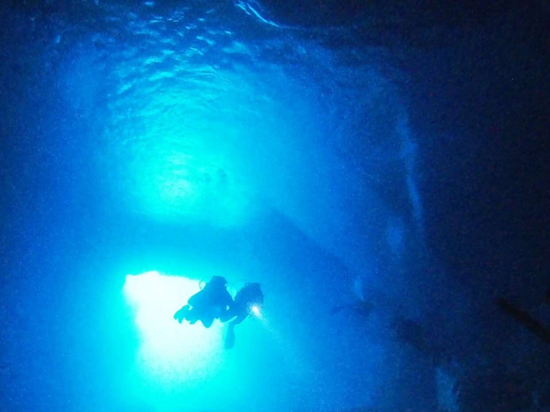 Bubbles Dive Centre-Marsalforn必去景点