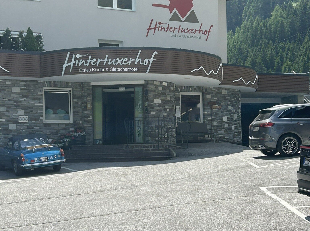 Kinder- & Gletscherhotel Hintertuxerhof主图
